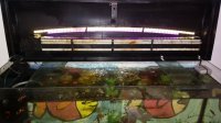 Ayuda para construir tapa de acuario de LEDs artesanal