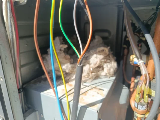 [Nergiza.com] Okupas en mi unidad exterior! 🐀