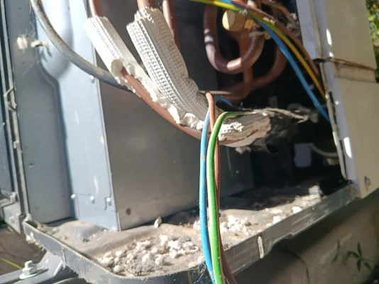 [Nergiza.com] Okupas en mi unidad exterior! 🐀