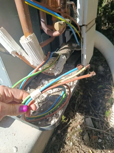 [Nergiza.com] Okupas en mi unidad exterior! 🐀