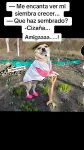 [Nergiza.com] ¿Apagón general en la península ibérica?