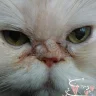 Sergiopz